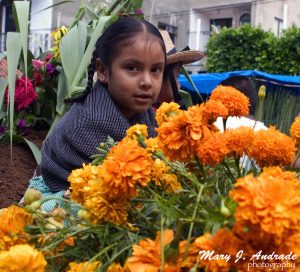 Niña rodeada con flores de cempasúchitl.