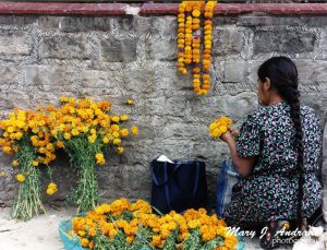 Selling cempasuchitl flowers.