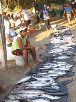 Fish market on the open.