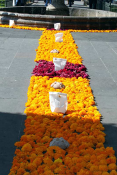 Camino de flores elaborado con cempasúchitl y flor de terciopelo