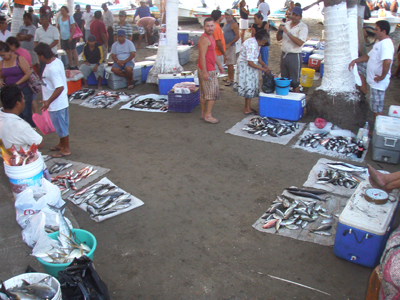 Fishermen delivering their catch.